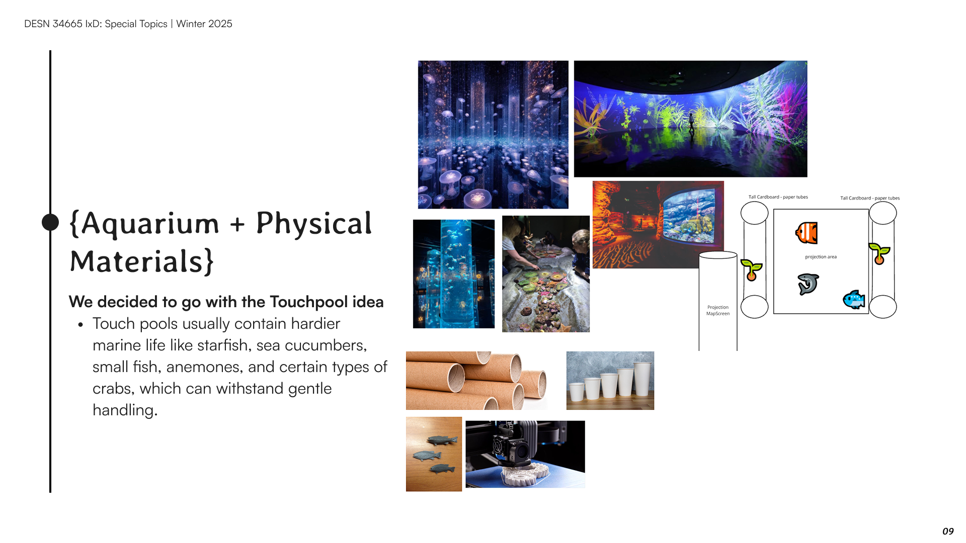 3D Scanning & Printing: Drawing from Smithsonians coral scanning and 3D Prints fish exhibit, we will develop detailed, tactile models of marine organisms.